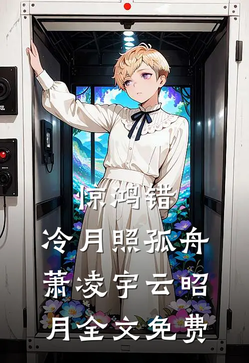 惊鸿错，冷月照孤舟萧凌宇云昭月全文免费