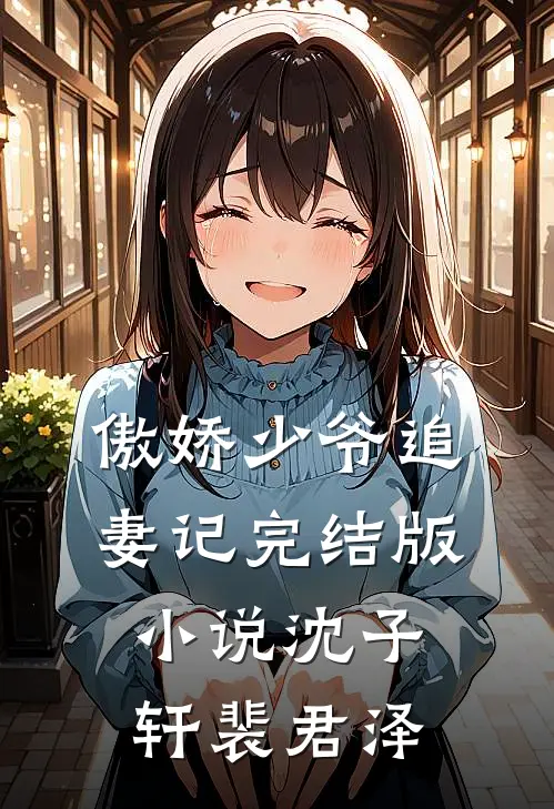 傲娇少爷追妻记完结版小说沈子轩裴君泽