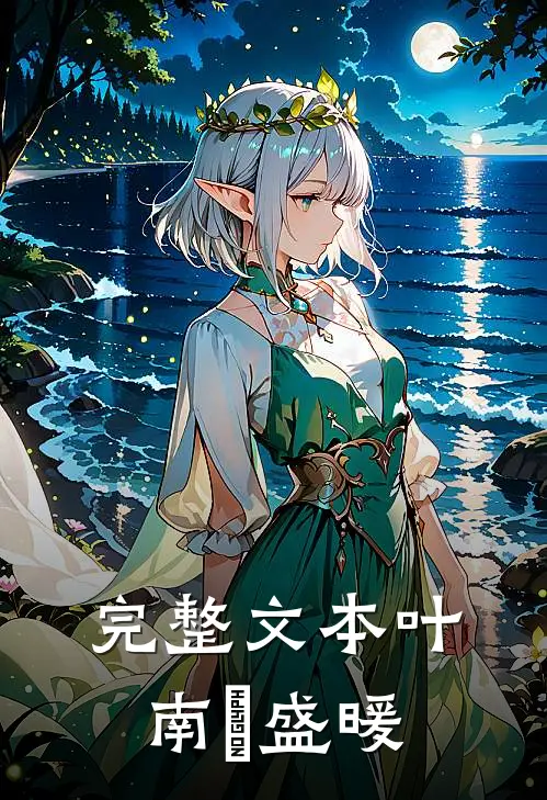 完整文本叶南烆盛暖