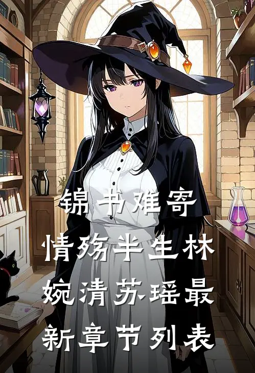 锦书难寄，情殇半生林婉清苏瑶最新章节列表