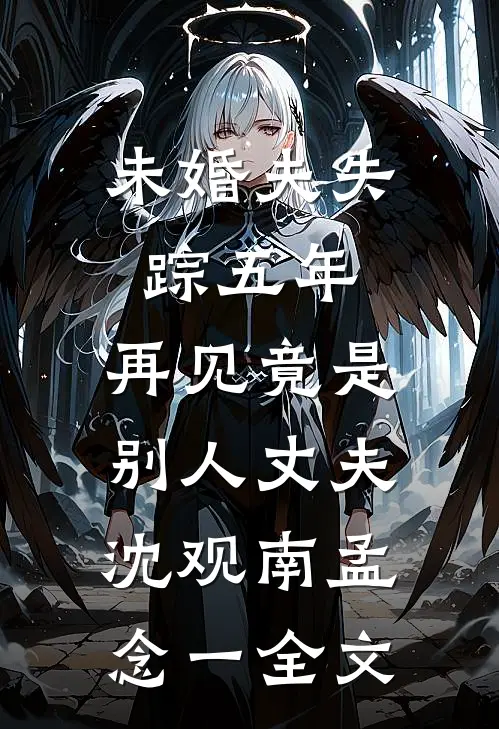 未婚夫失踪五年：再见竟是别人丈夫沈观南孟念一全文