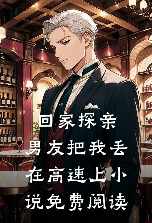 回家探亲，男友把我丢在高速上小说免费阅读