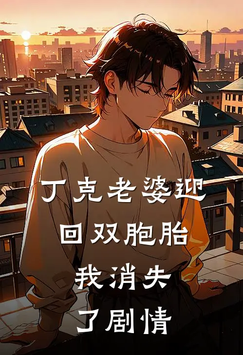 丁克老婆迎回双胞胎，我消失了剧情