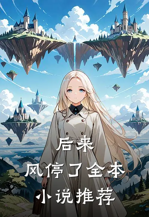 后来，风停了全本小说推荐