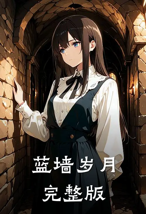 蓝墙岁月完整版