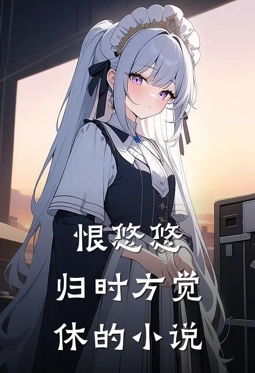 恨悠悠，归时方觉休的小说