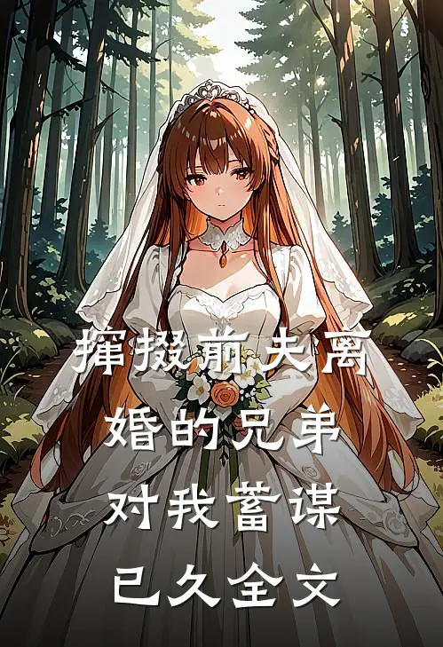 撺掇前夫离婚的兄弟对我蓄谋已久全文