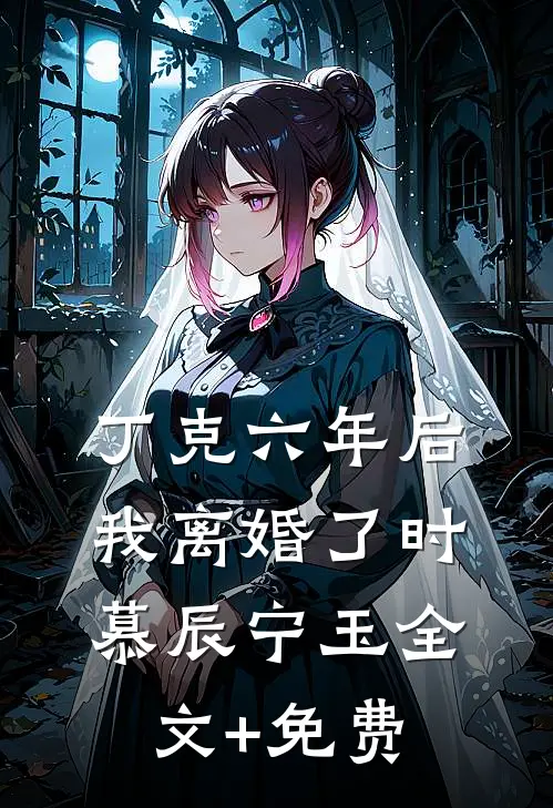 丁克六年后，我离婚了时慕辰宁玉全文+免费