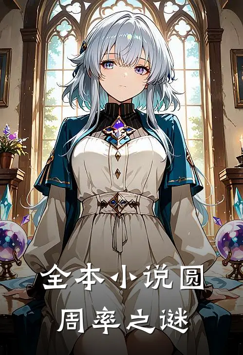 全本小说圆周率之谜