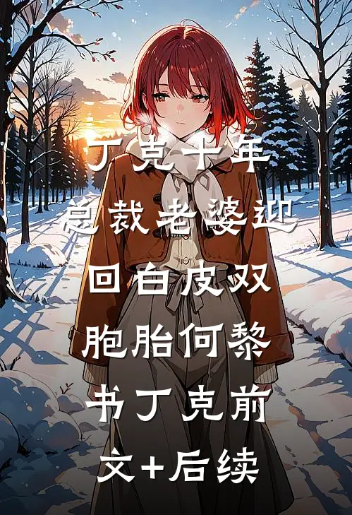 丁克十年，总裁老婆迎回白皮双胞胎何黎书丁克前文+后续