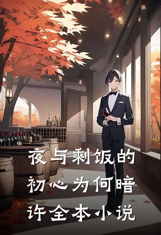 夜与剩饭的初心为何暗许全本小说
