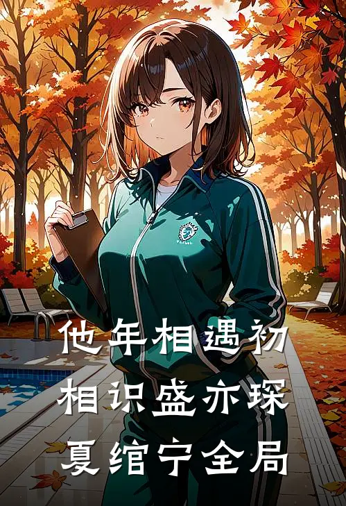 他年相遇初相识盛亦琛夏绾宁全局