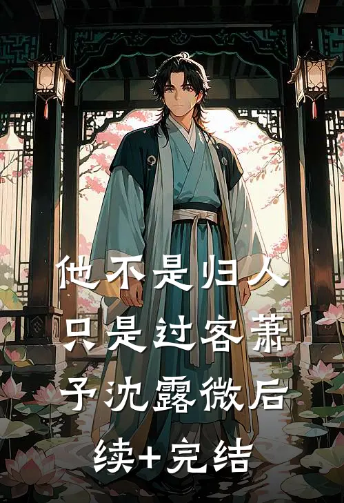 他不是归人，只是过客萧予沈露微后续+完结