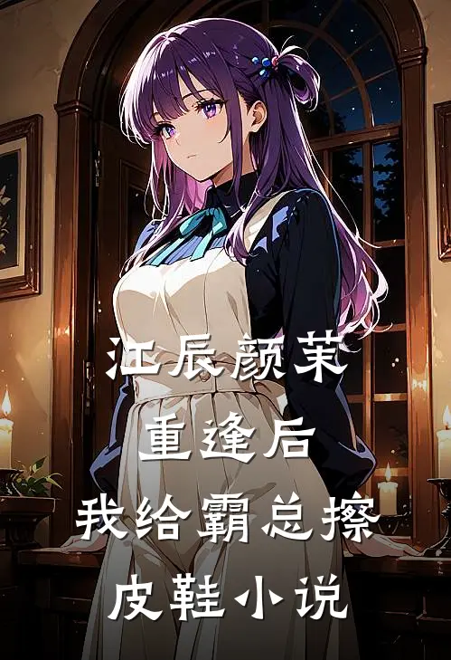 江辰颜茉重逢后，我给霸总擦皮鞋小说