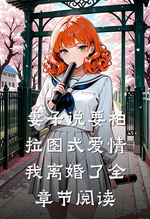 妻子说要柏拉图式爱情，我离婚了全章节阅读