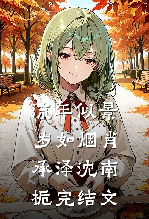 流年似景岁如烟肖承泽沈南栀完结文