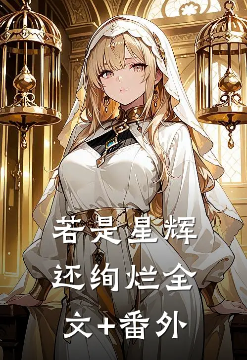 若是星辉还绚烂全文+番外