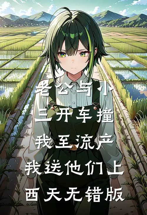 老公与小三开车撞我至流产，我送他们上西天无错版