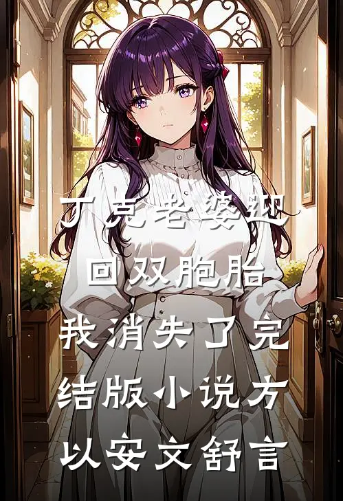 丁克老婆迎回双胞胎，我消失了完结版小说方以安文舒言