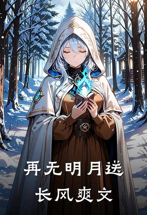 再无明月送长风爽文
