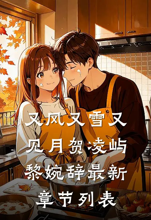 又风又雪又见月贺凌屿黎婉辞最新章节列表