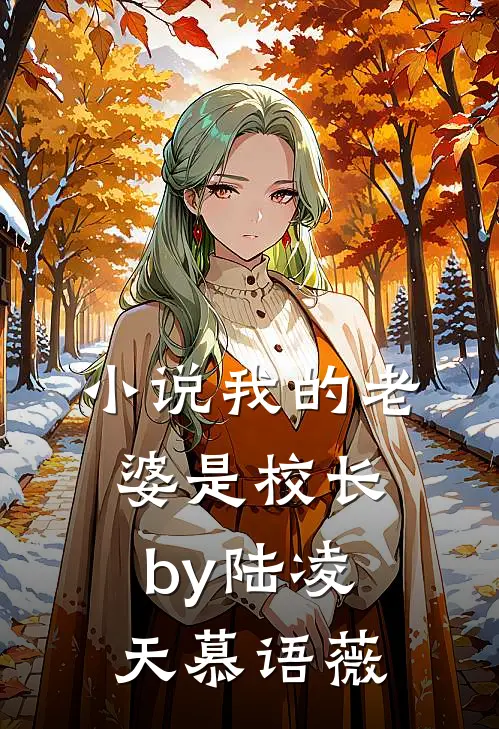小说我的老婆是校长by陆凌天慕语薇