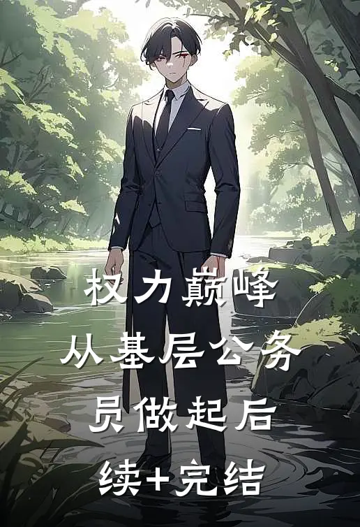 权力巅峰：从基层公务员做起后续+完结