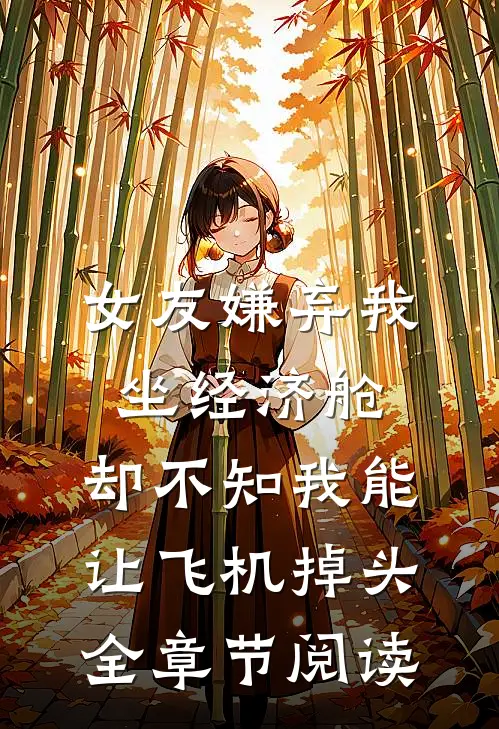 女友嫌弃我坐经济舱，却不知我能让飞机掉头全章节阅读