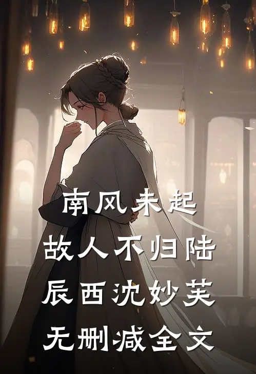 南风未起，故人不归陆辰西沈妙芙无删减全文