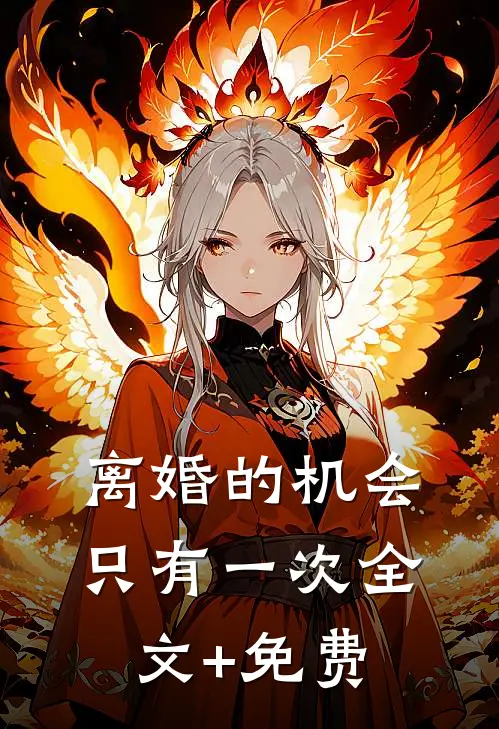 离婚的机会只有一次全文+免费