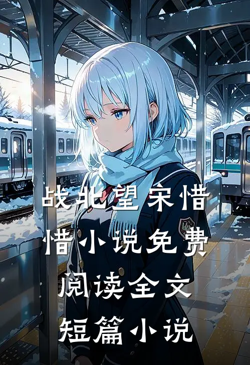 战北望宋惜惜小说免费阅读全文短篇小说