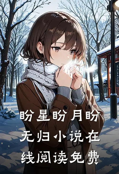 盼星盼月盼无归小说在线阅读免费