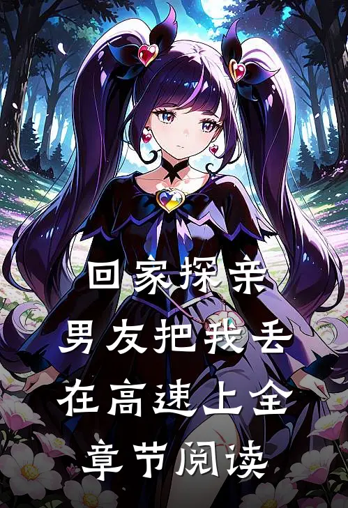 回家探亲，男友把我丢在高速上全章节阅读