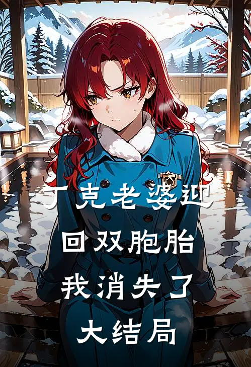 丁克老婆迎回双胞胎，我消失了大结局