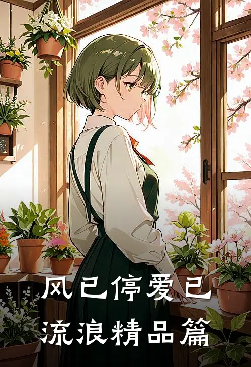 风已停爱已流浪精品篇