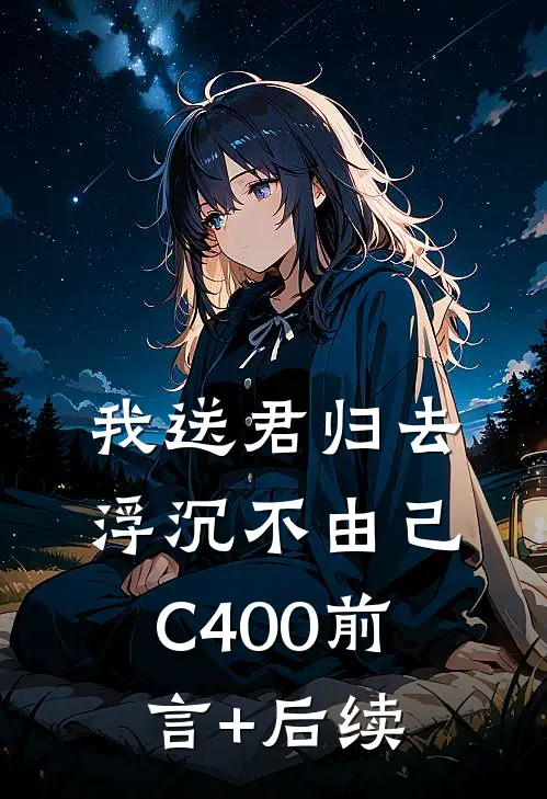 我送君归去，浮沉不由己C400前言+后续