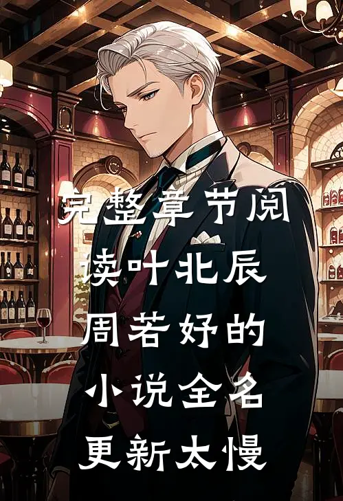 完整章节阅读叶北辰周若妤的小说全名更新太慢