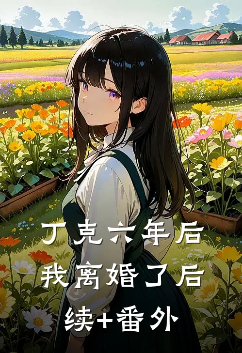 丁克六年后，我离婚了后续+番外