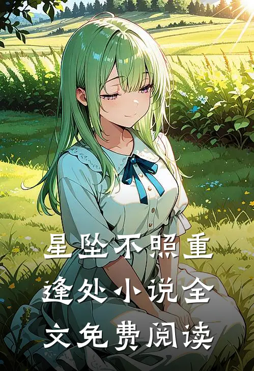 星坠不照重逢处小说全文免费阅读