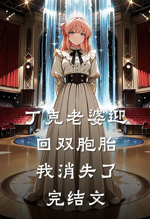 丁克老婆迎回双胞胎，我消失了完结文