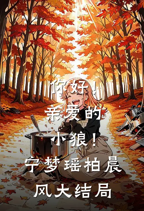 你好！亲爱的小狼！宁梦瑶柏晨风大结局