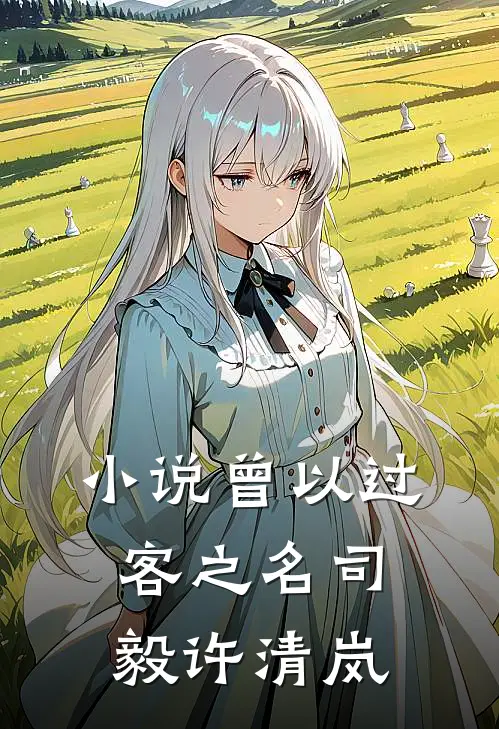小说曾以过客之名(司毅许清岚)