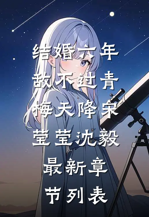 结婚六年，敌不过青梅天降宋莹莹沈毅最新章节列表