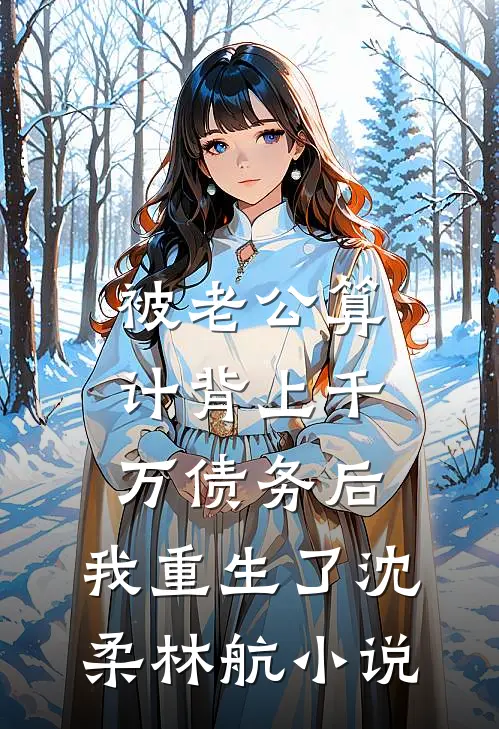 被老公算计背上千万债务后，我重生了沈柔林航小说