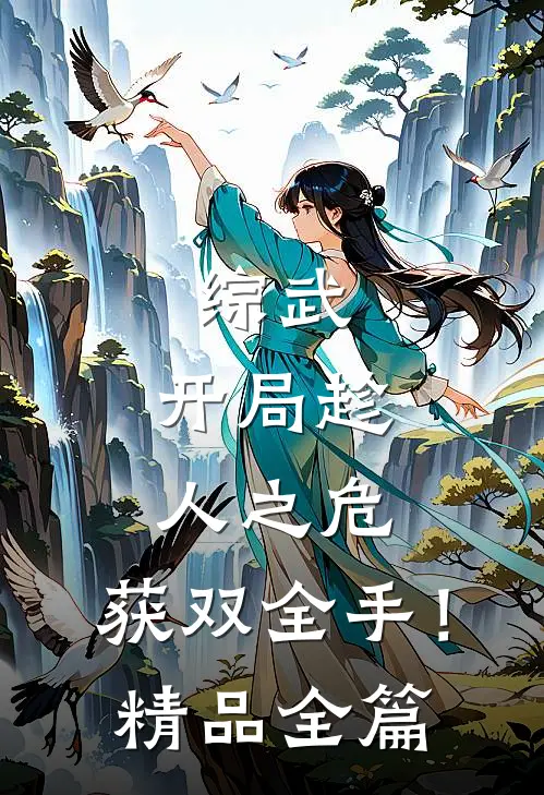 综武：开局趁人之危，获双全手！精品全篇