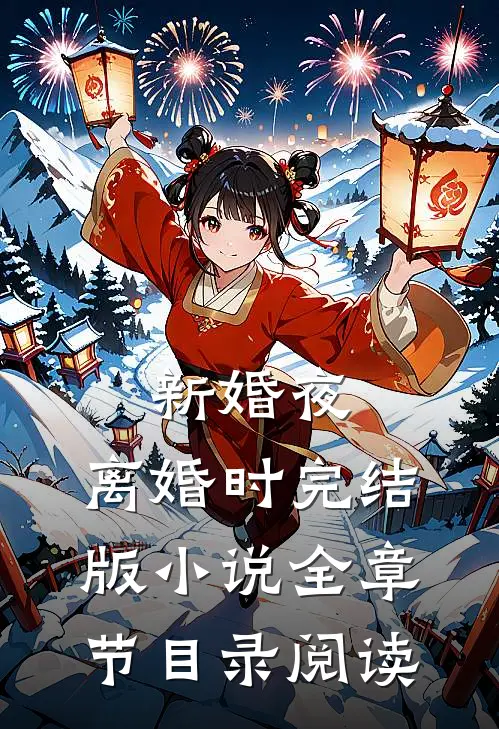 新婚夜，离婚时完结版小说全章节目录阅读