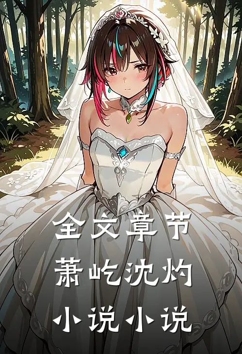 全文章节萧屹沈灼小说小说