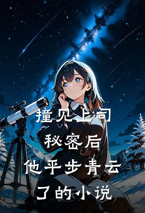 撞见上司秘密后，他平步青云了的小说