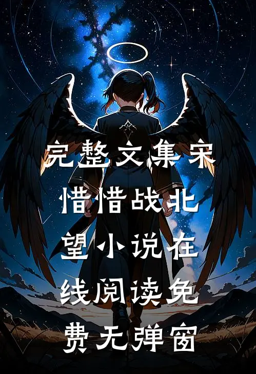 完整文集宋惜惜战北望小说在线阅读免费无弹窗