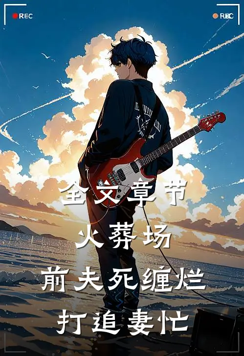 全文章节火葬场：前夫死缠烂打追妻忙
